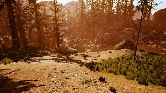 Screenshot Tobit