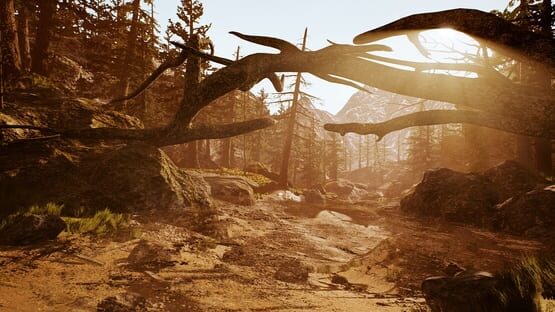 Screenshot Tobit