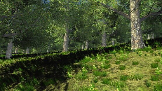 Screenshot Trials of Wilderness