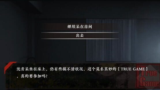 Screenshot True Game