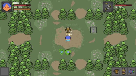 Screenshot Wild Web