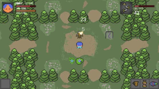 Screenshot Wild Web