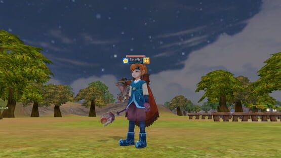 Screenshot Zeta Flyff