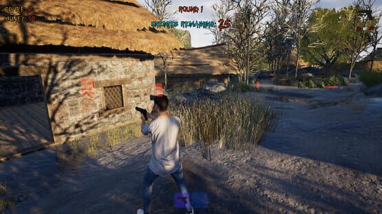 Screenshot ZombiesWaves