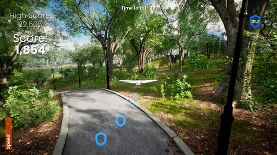Screenshot Bird Simulator 24