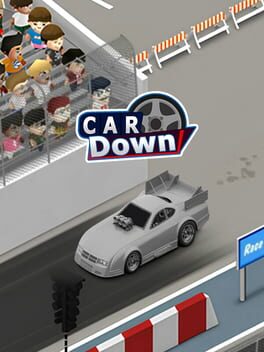 Cover Car Down