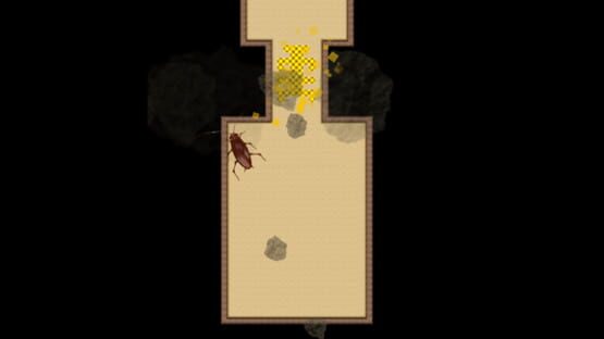 Screenshot Snackroach