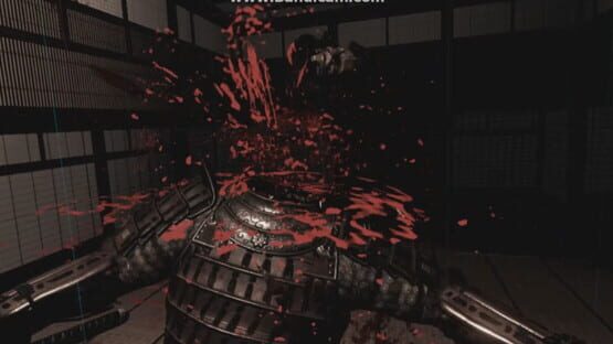Screenshot Death Dojo