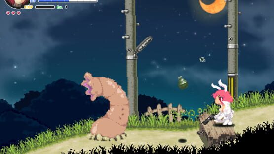 Screenshot Echidna Wars DX
