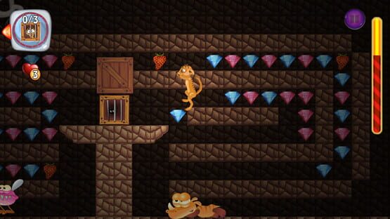 Screenshot Ace Meerkats