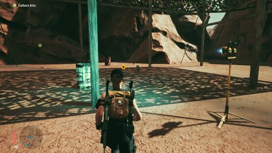 Screenshot Agent Cat