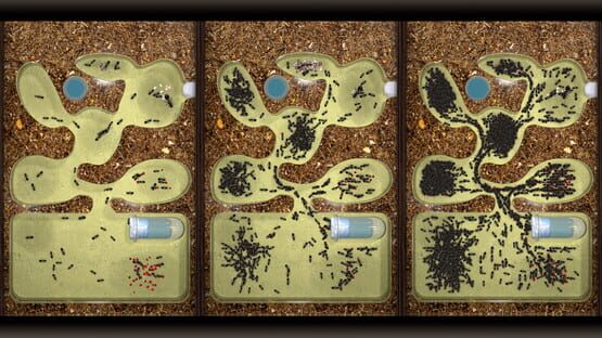 Screenshot Ant Farm Simulator
