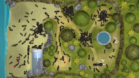 Screenshot Ant Farm Simulator