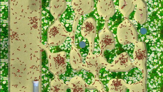 Screenshot Ant Farm Simulator