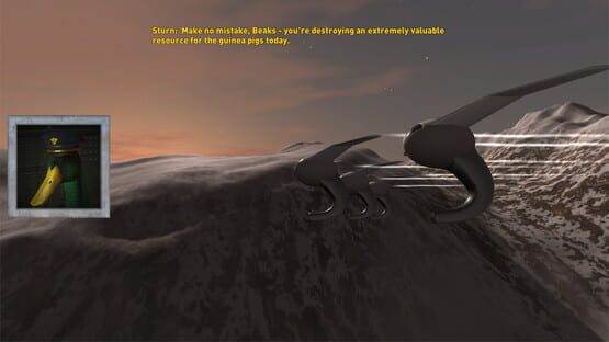 Screenshot Beak Squadron