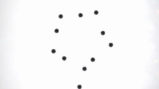 Screenshot Black Circle