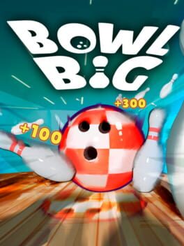 Cover Bowl Big