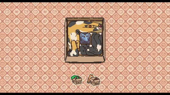 Screenshot Box Cats Puzzle