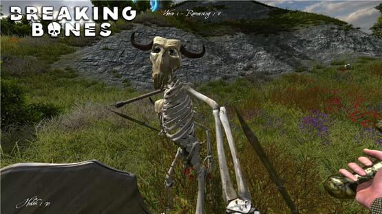 Screenshot Breaking Bones