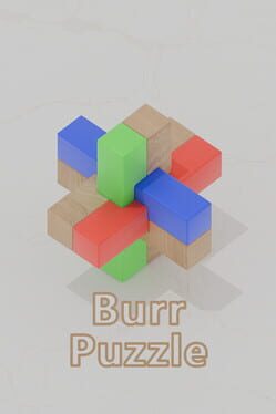 Cover Burr Puzzle