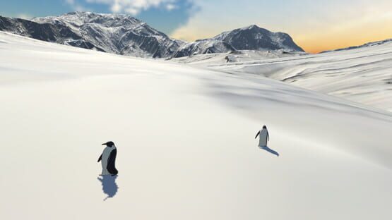 Screenshot But Why Penguin?