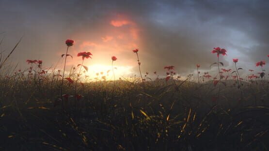 Screenshot Conscious Existence - A Journey Within