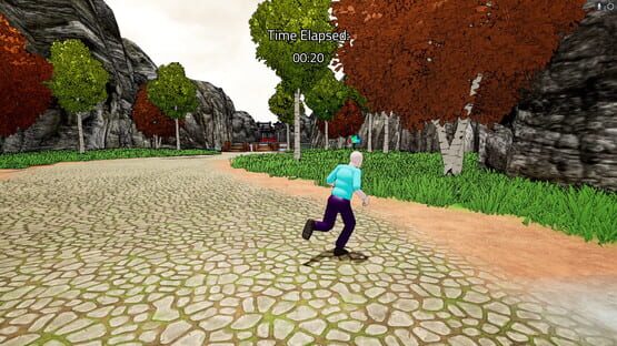 Screenshot Crash and Run
