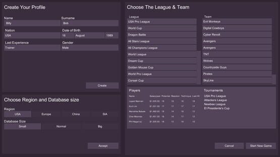 Screenshot Cyber Team Manager