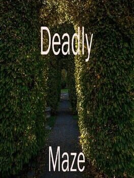 Cover Deadly Maze