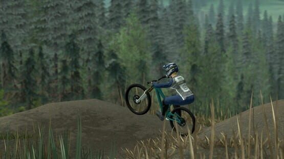 Screenshot Downhill Pro Racer