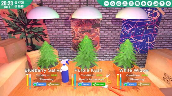 Screenshot Drug Empire