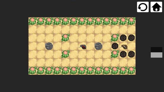 Screenshot Dualikiwi