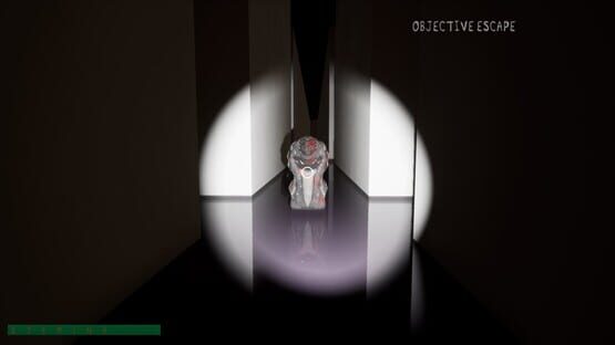 Screenshot Facility