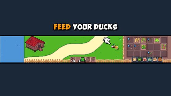 Screenshot Feeding My Ducks
