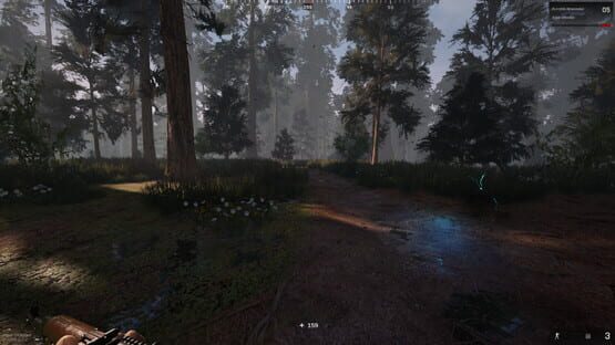 Screenshot Fight or Flight