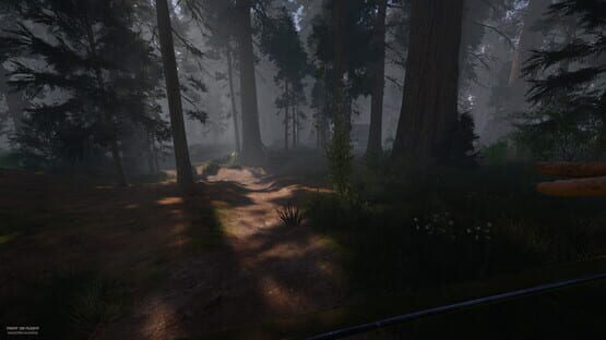 Screenshot Fight or Flight