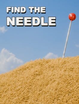 Cover Find The Needle