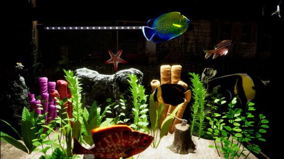 Screenshot Fish Tank Simulator