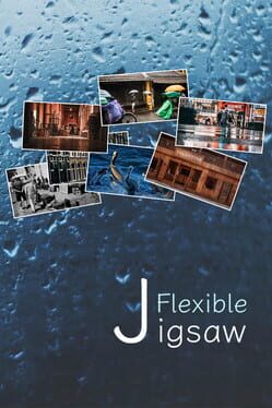Cover FlexibleJigsaw: Journey
