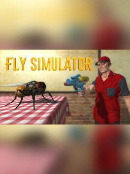 Cover Fly Simulator