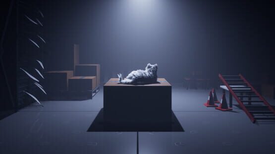 Screenshot Follow The Cat