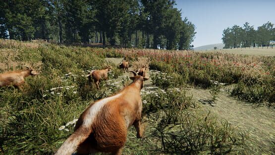 Screenshot Goat Massacre