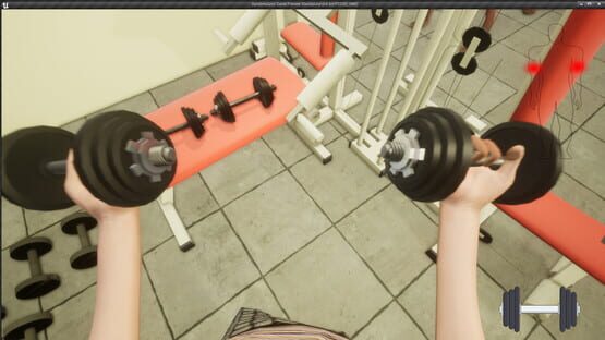 Screenshot Gym Simulator