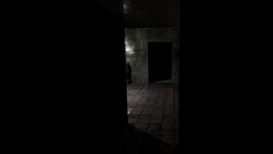 Screenshot Hanefield Asylum