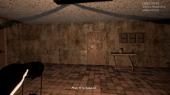 Screenshot Hanefield Asylum