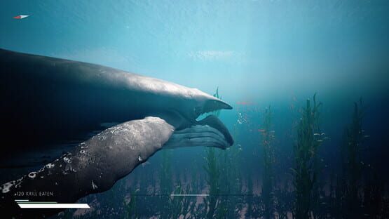 Screenshot Infinite Blue