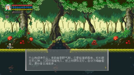 Screenshot Jungle Ranger