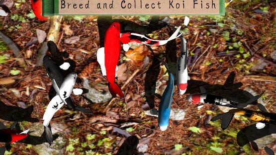 Screenshot Koi Garden