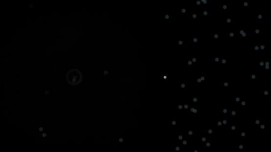 Screenshot Last Soul