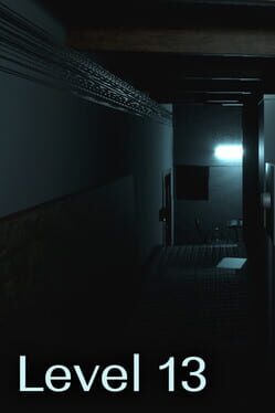Cover Level 13